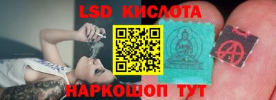 мдпв Гусев