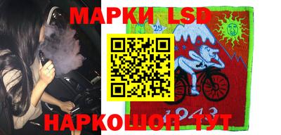 мдпв Гусев