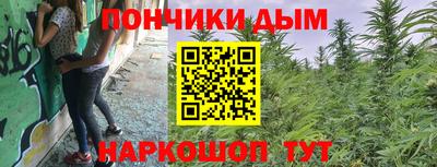мдпв Гусев