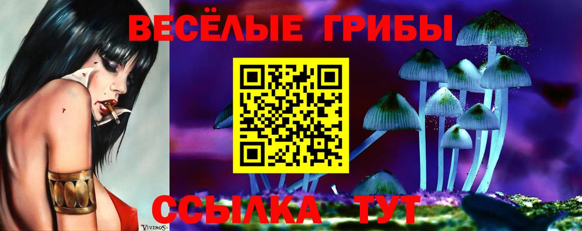 Надым  Псилоцибиновые грибы Magic Shrooms  Вход с VPN 