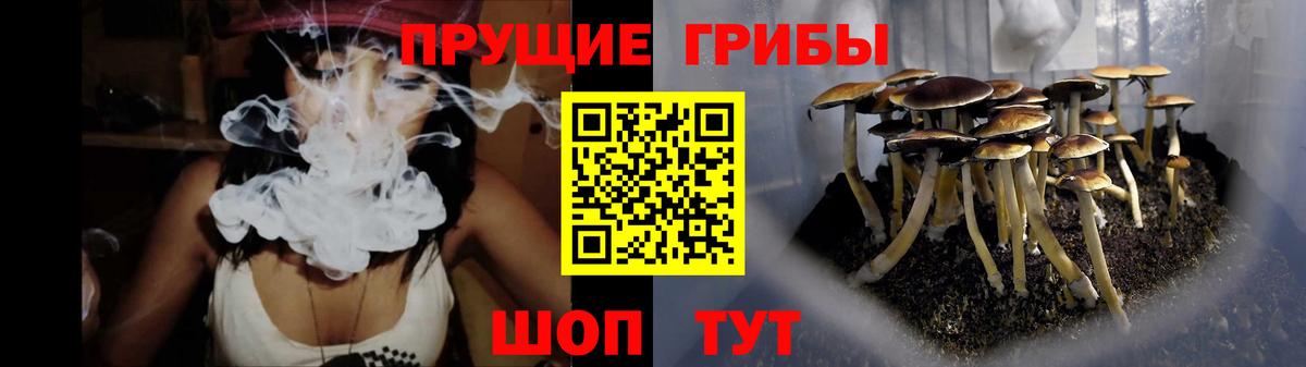 Галлюциногенные грибы Magic Shrooms Надым